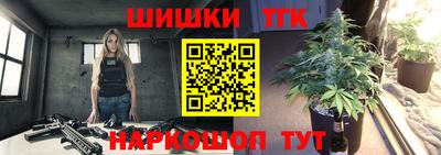 ешки Новодвинск