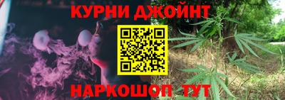 ешки Новодвинск