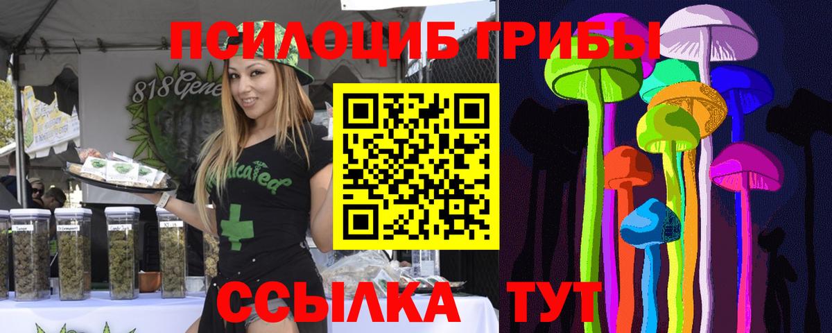 Псилоцибиновые грибы Magic Shrooms Ставрополь